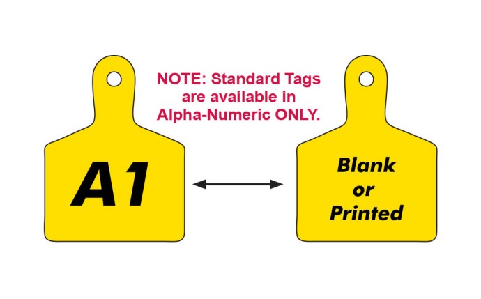 aaa-53-0060.jpg