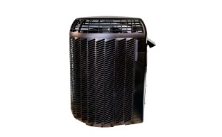 ACL-15-1013-1.jpg