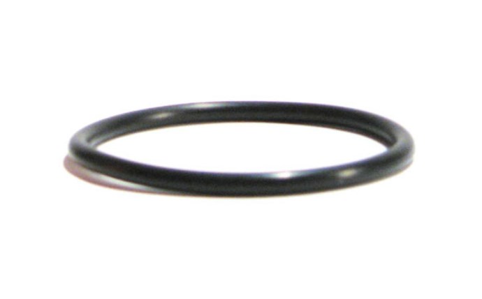 AQF-101-6691.jpg