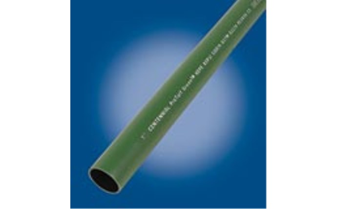 cnp-56-1000.jpg