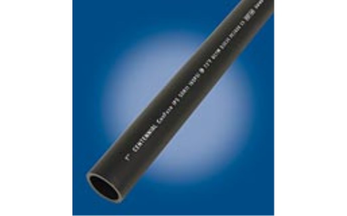 cnp-56-1015.jpg