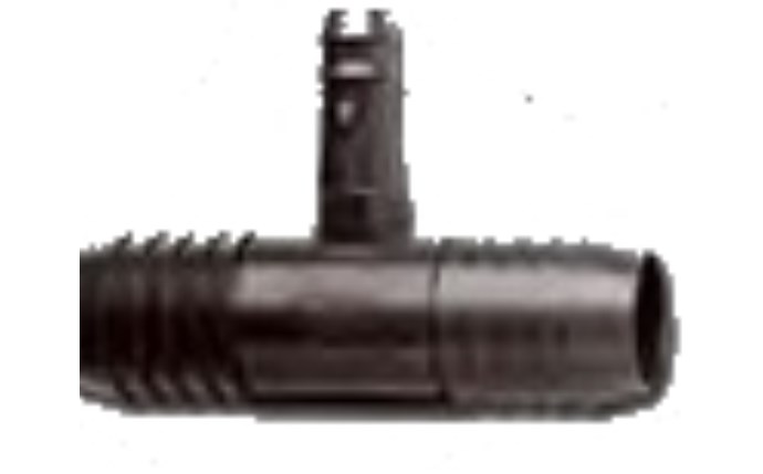 dii-58-1019.jpg