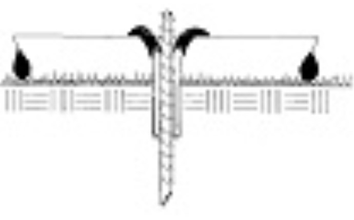 dkp-58-1000.jpg