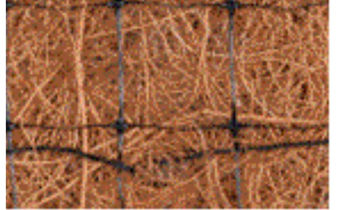 eec-53-1005.gif