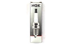 NGK-591-7002-2.jpg