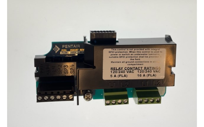 PUR-101-3617.jpg