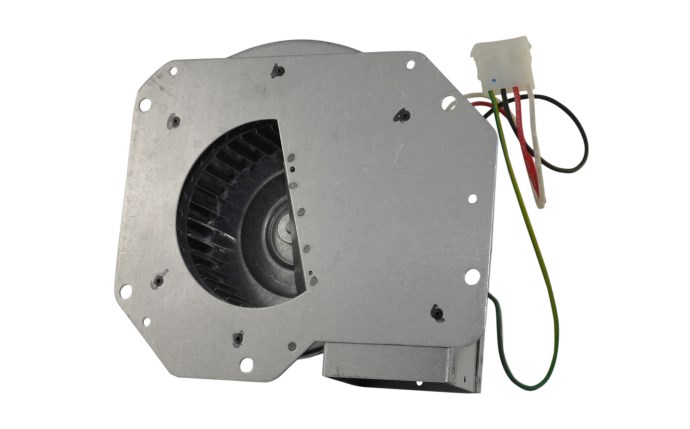 RAY-151-1251.jpg