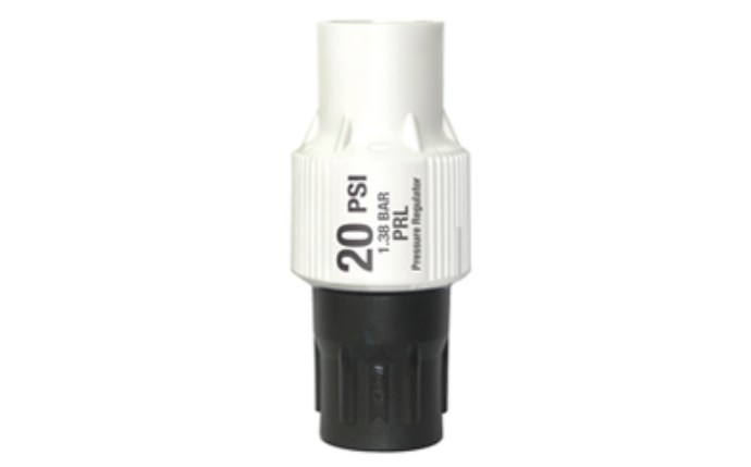 snn-58-1013.jpg