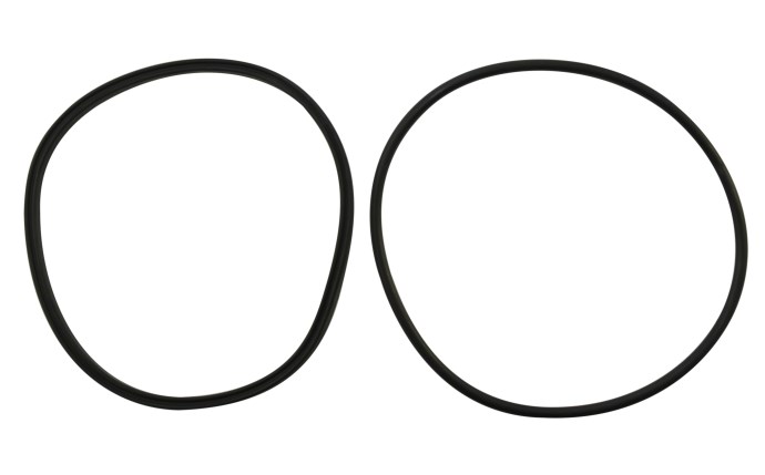 tld-101-2019.jpg