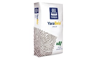 YNA-53-1009-1.jpg